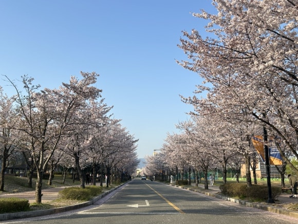운천갤러리 이미지