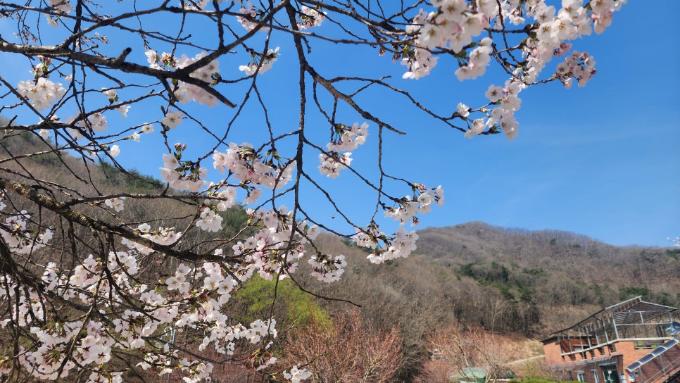방길낚시캠핑장 이미지