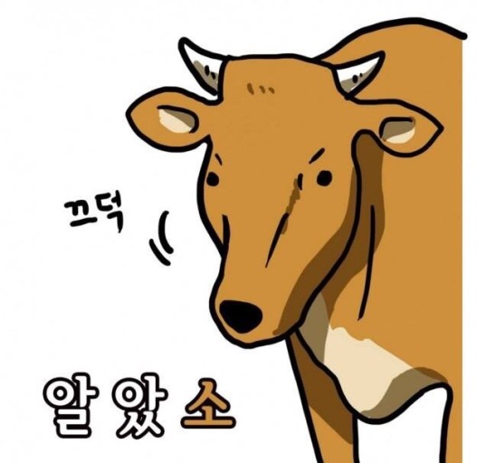 우대포 이미지