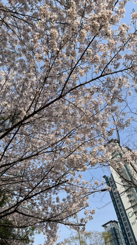 유야수산 이미지