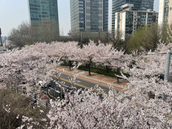이디야여의나루역점 이미지