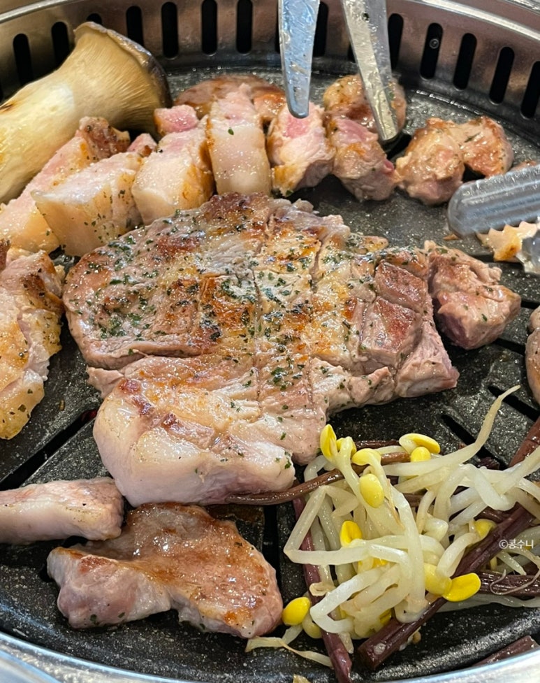 금빛한돈 이미지