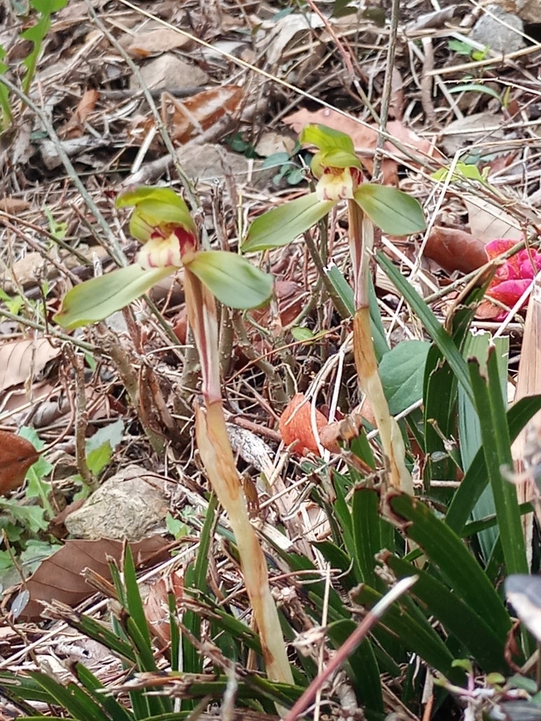 아진축산 이미지