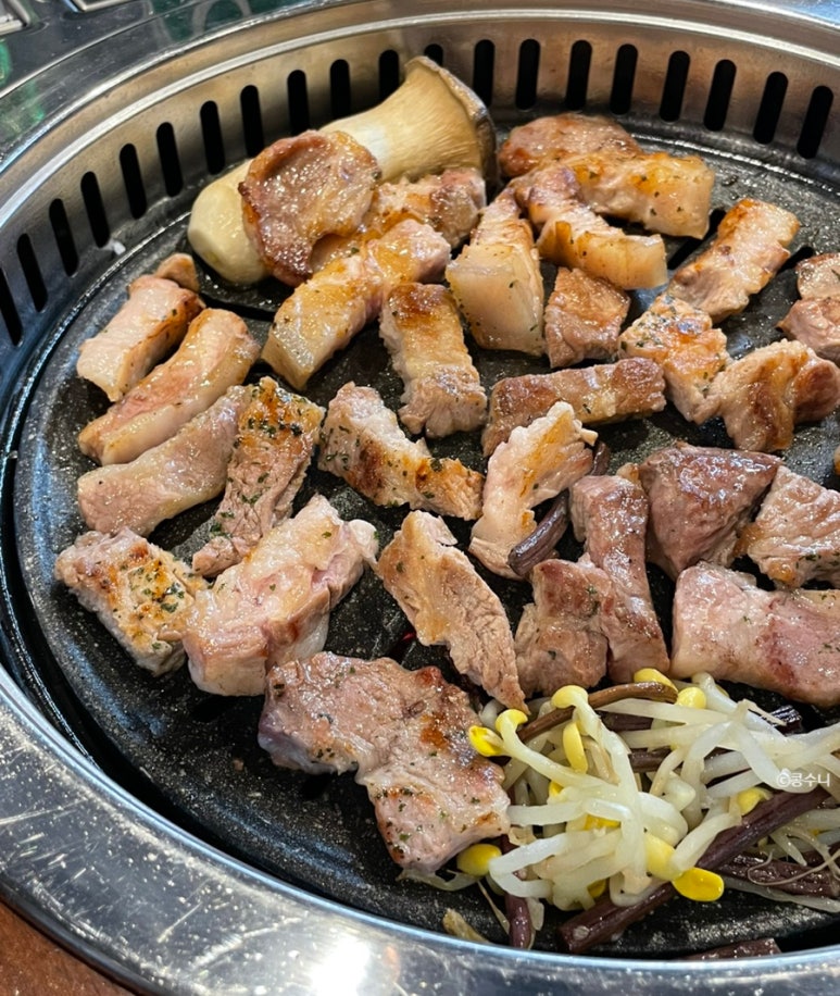 금빛한돈 이미지