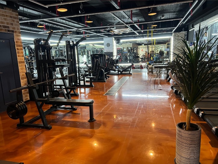 Top Gym 이미지