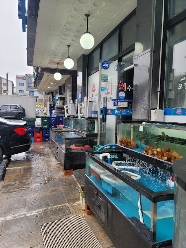 감탄회수산 이미지