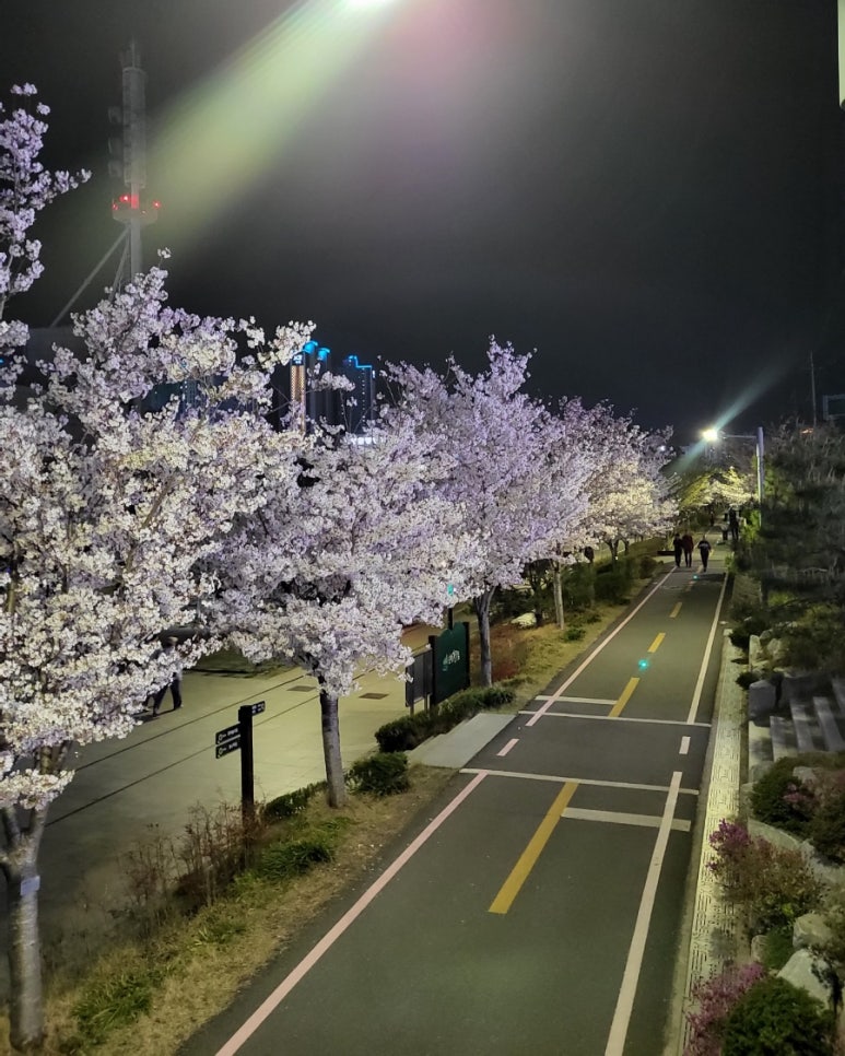 진 한국밥 이미지