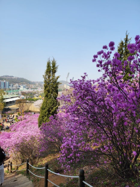 미꼬담 부천까치울점 이미지