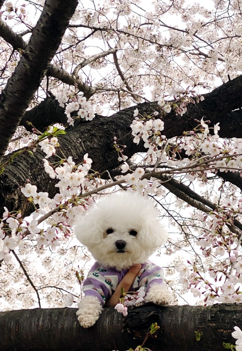 시립고색뉴지엄어린이집 이미지