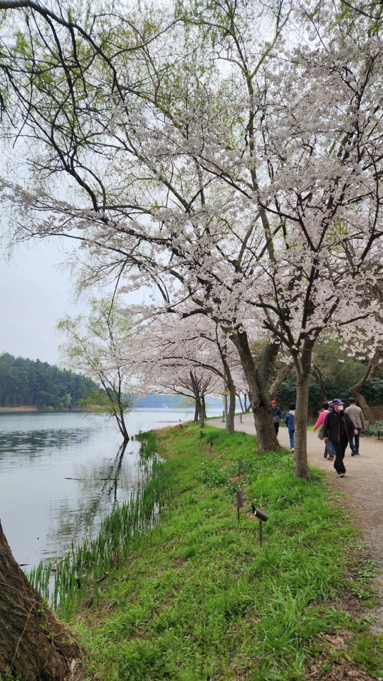 오찬만찬밥상 이미지