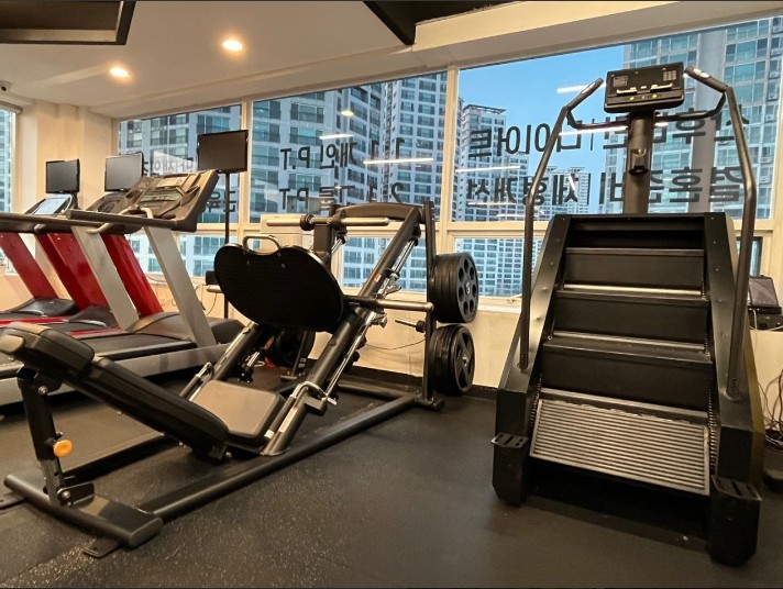 엘바디핏 이미지