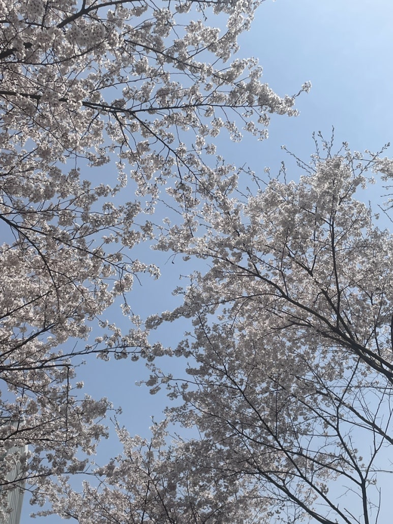 네일브루팅 이미지