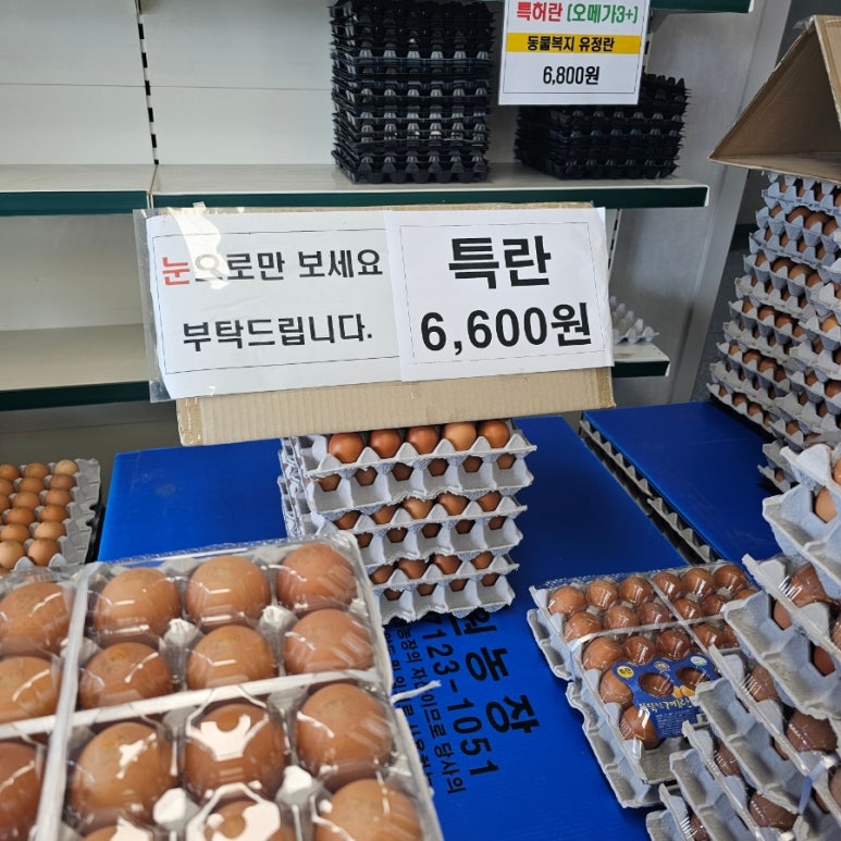 계란직판장 이미지