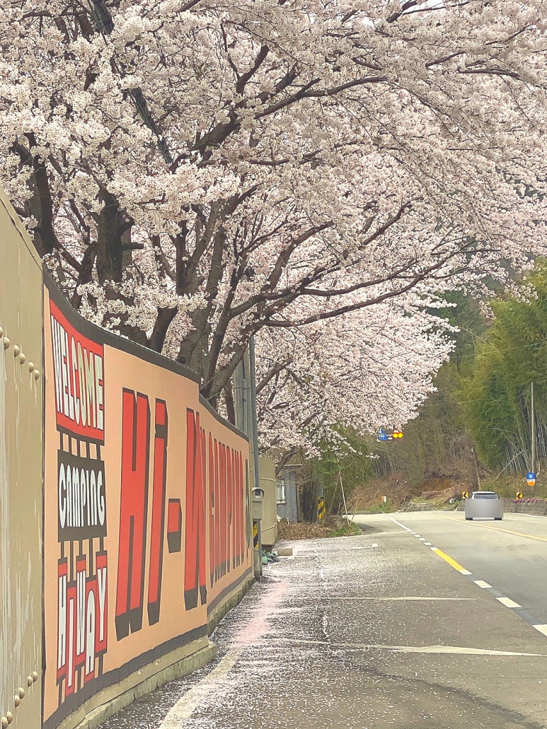 지리산하이웨이캠핑장 이미지
