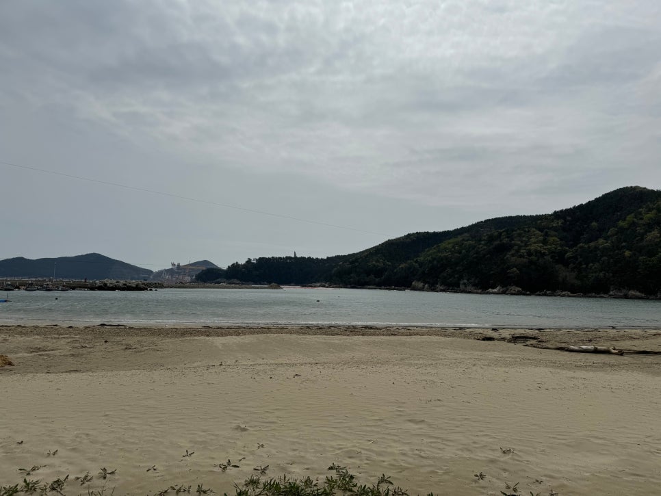 덕포횟집 이미지