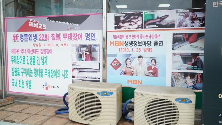 온양장어 이미지