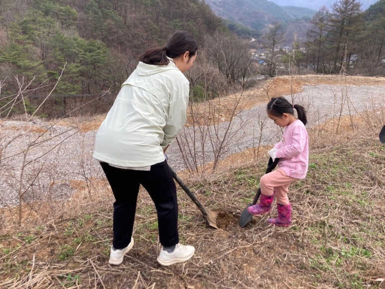 과실온 이미지