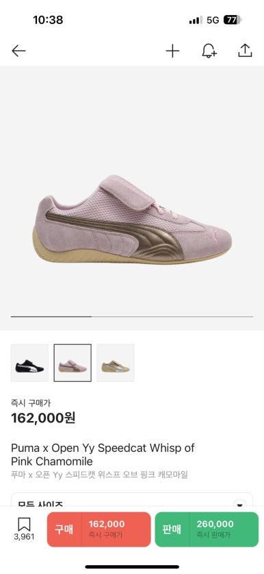 실버타이거 이미지