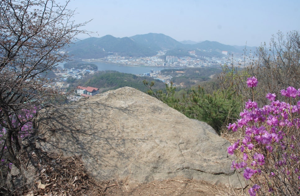 농산물유통사업소 이미지