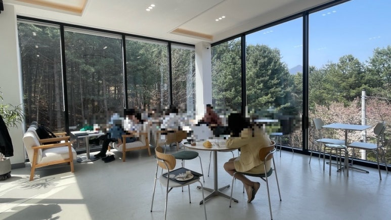 레포레스트(REFOREST) 이미지