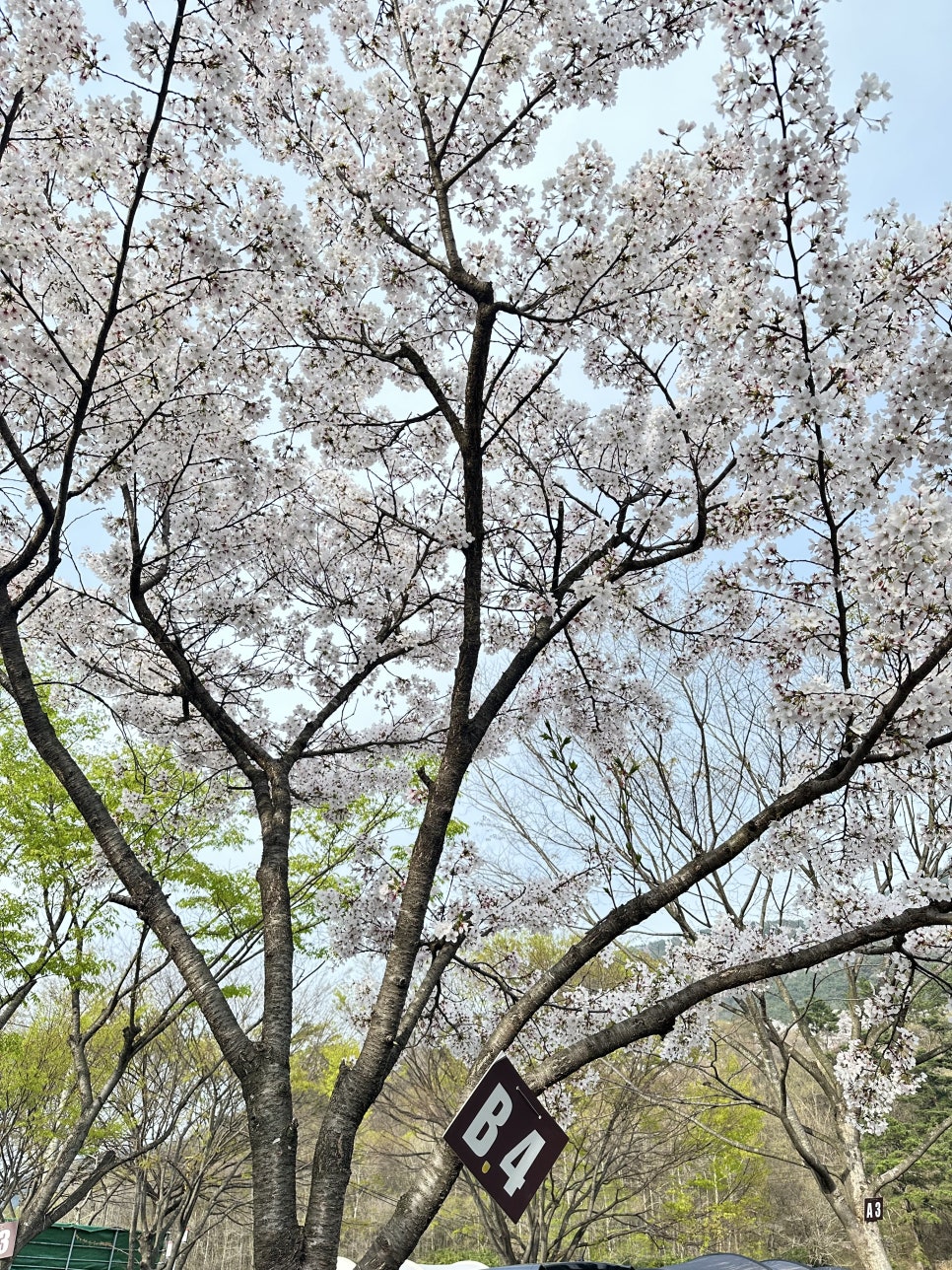 동밀양농협하나로마트 이미지