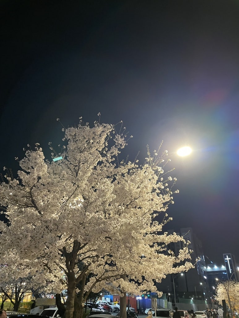 (주) 쥬엔 이미지