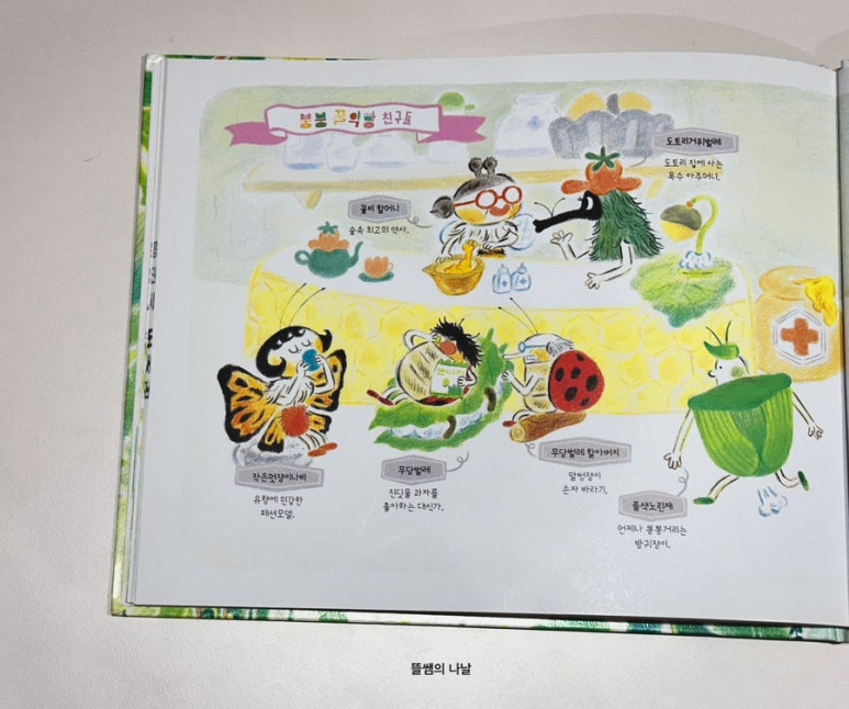 신보영 이미지