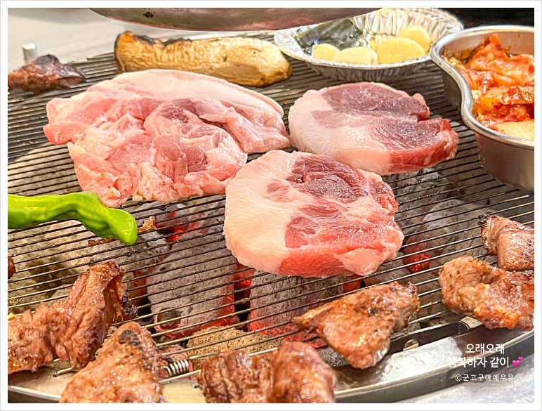 빽고기 이미지