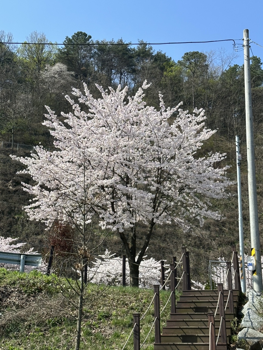 함흥냉면동물원옆 이미지