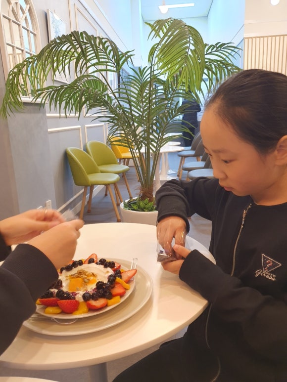 티앤요거트 이미지