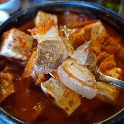뼈탄집 이미지