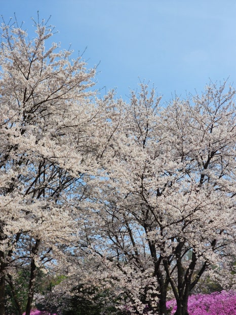 미꼬담 부천까치울점 이미지