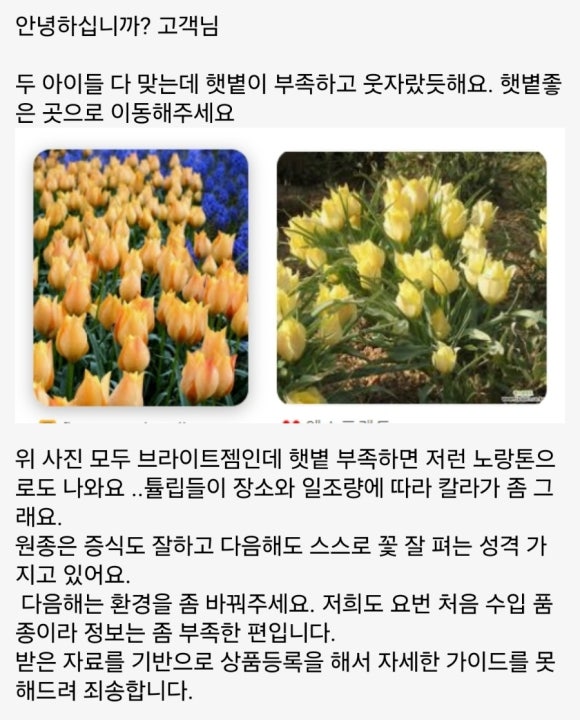 브라이트잼 이미지