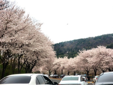 꾸꾸삼겹 경주황성점 이미지