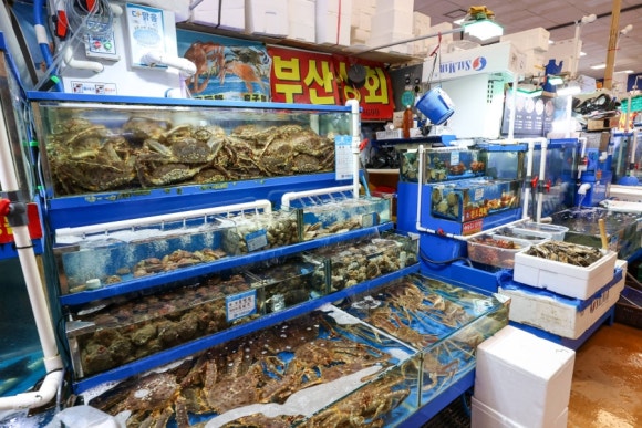 부산상회 이미지
