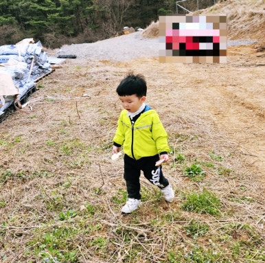 과실온 이미지