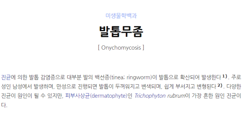 문앤치즈네일 이미지