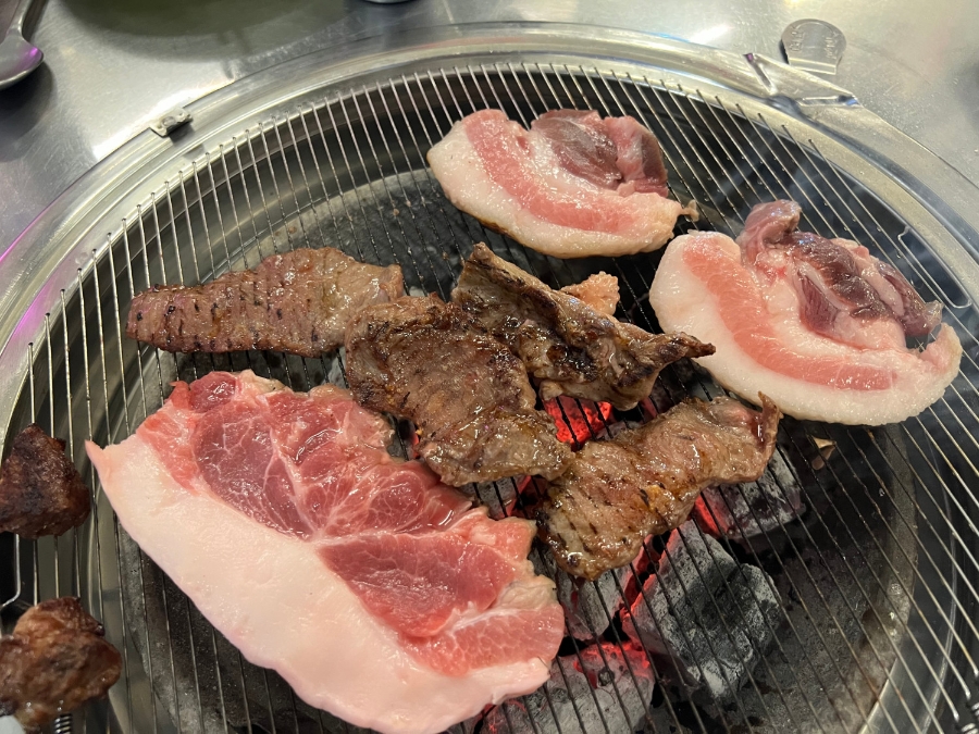 빽고기 이미지