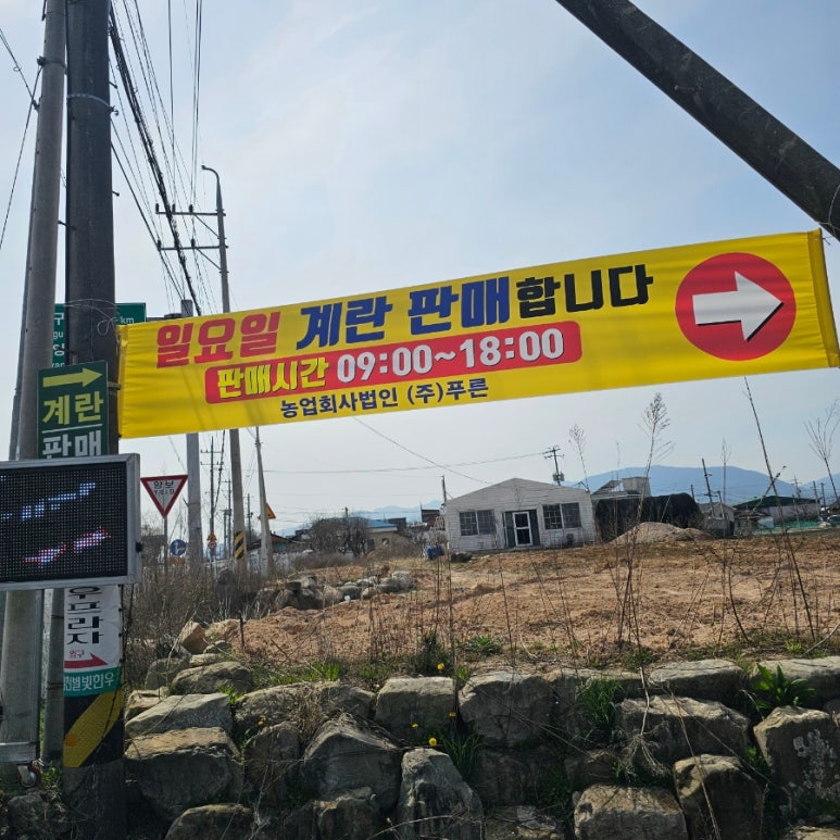 계란직판장 이미지