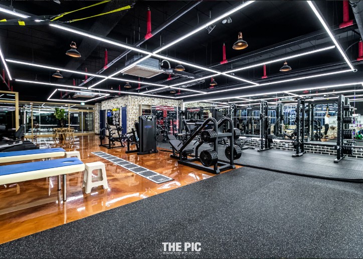 Top Gym 이미지