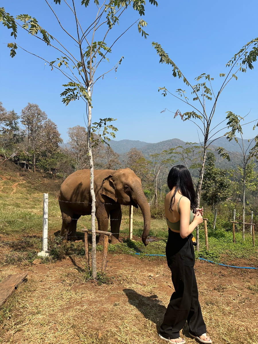 이너프포 이미지