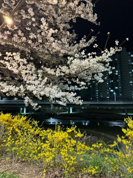 동편매점 이미지