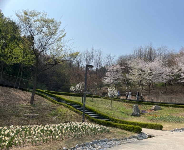 카페탱크6 이미지