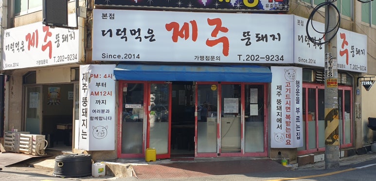 더덕먹은제주뚱돼지 이미지