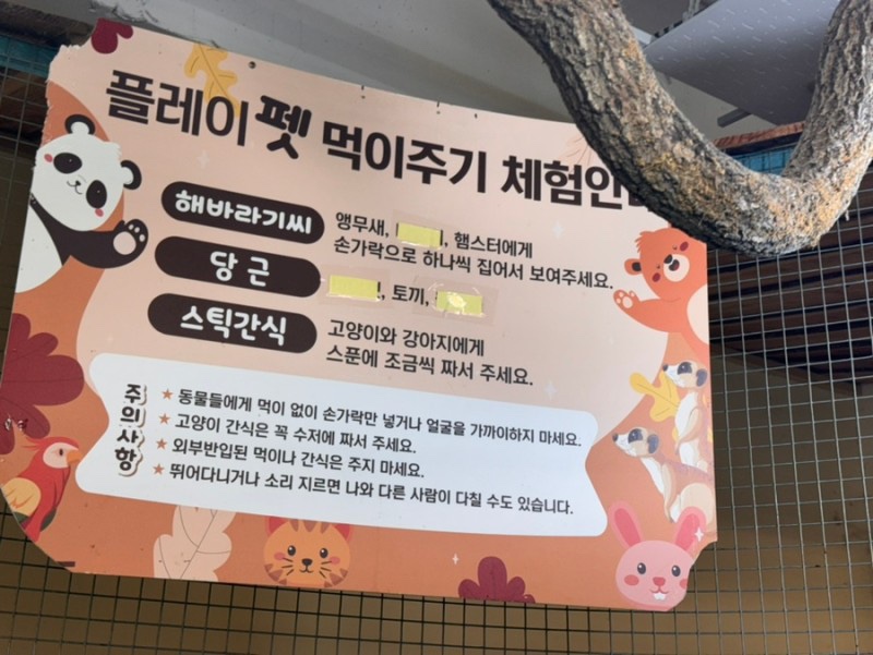 플레이펫 이미지