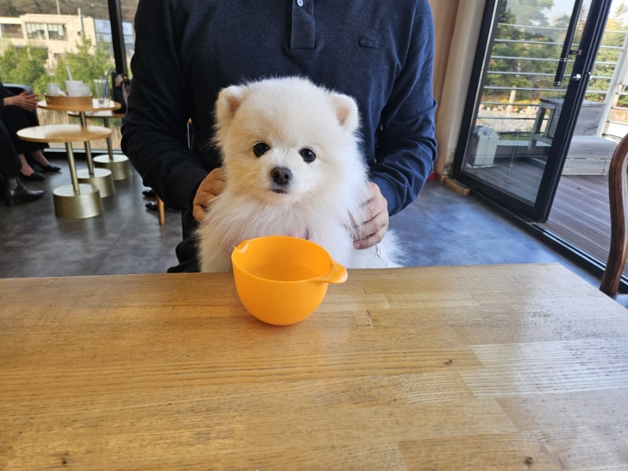 지오빈스 이미지