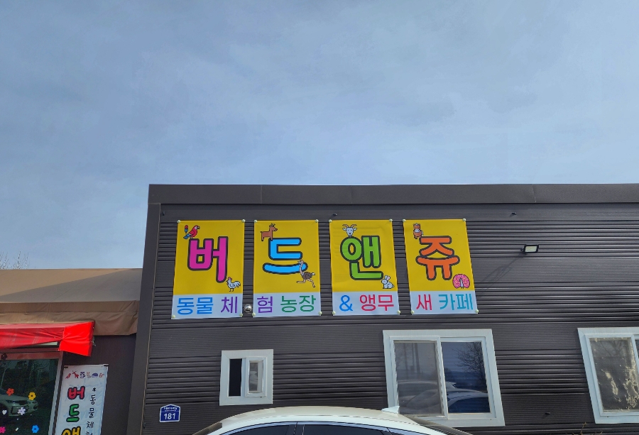 앤쥬 이미지