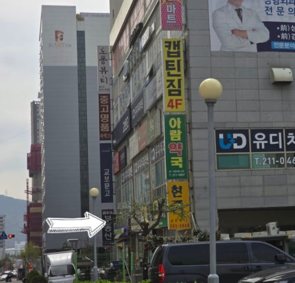 파텍21 이미지