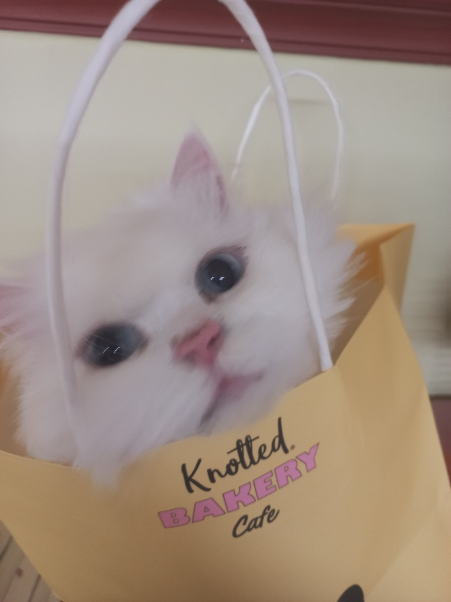 내복곰 이미지