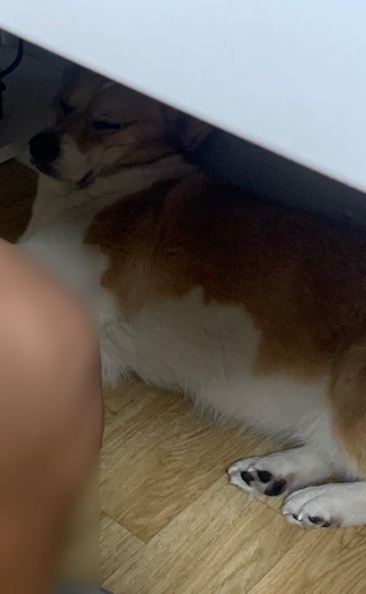 캠프오슬로 이미지